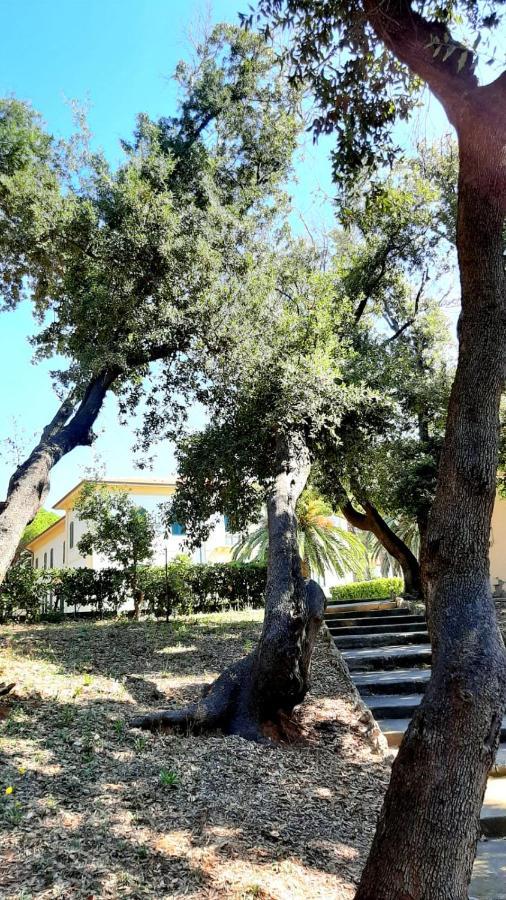 San Giuseppe Casa Per Ferie Hotel Quercianella Ngoại thất bức ảnh